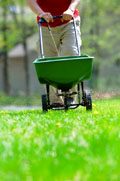 lawn fertilizer small.jpg